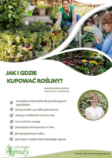 jak-i-gdzie-kupowac-rosliny